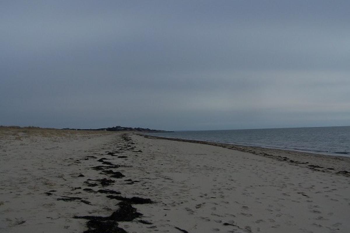 Cornhill Beach Shore