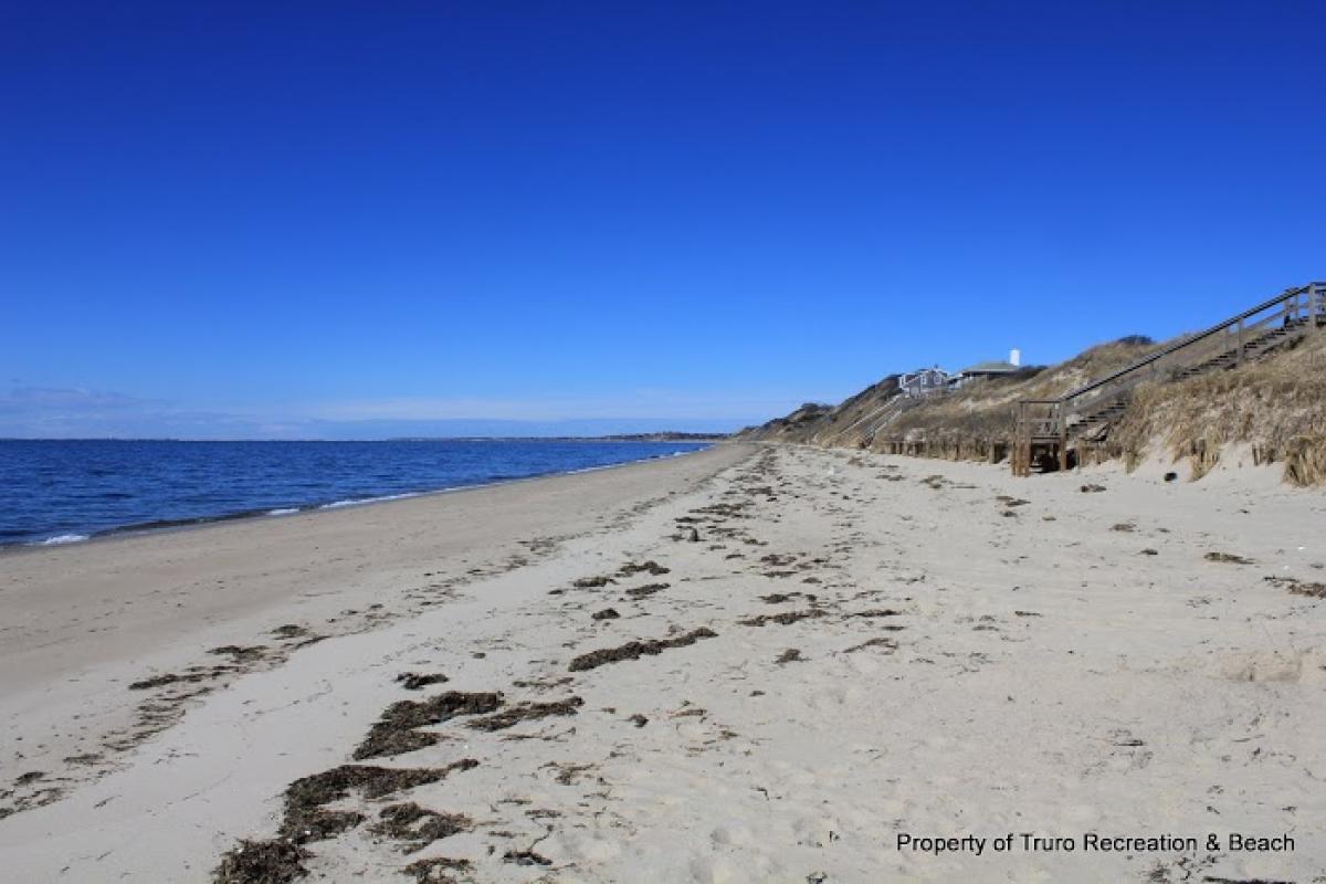 Ryder Beach Sand and Dunes